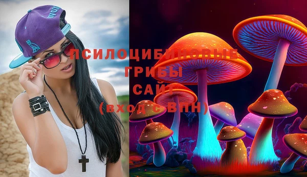 не бодяженный Белокуриха